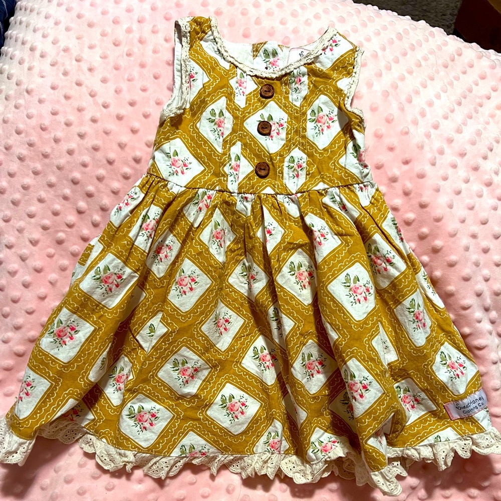 Sweet honey adorable dress, so pretty on 2T matching bloomers